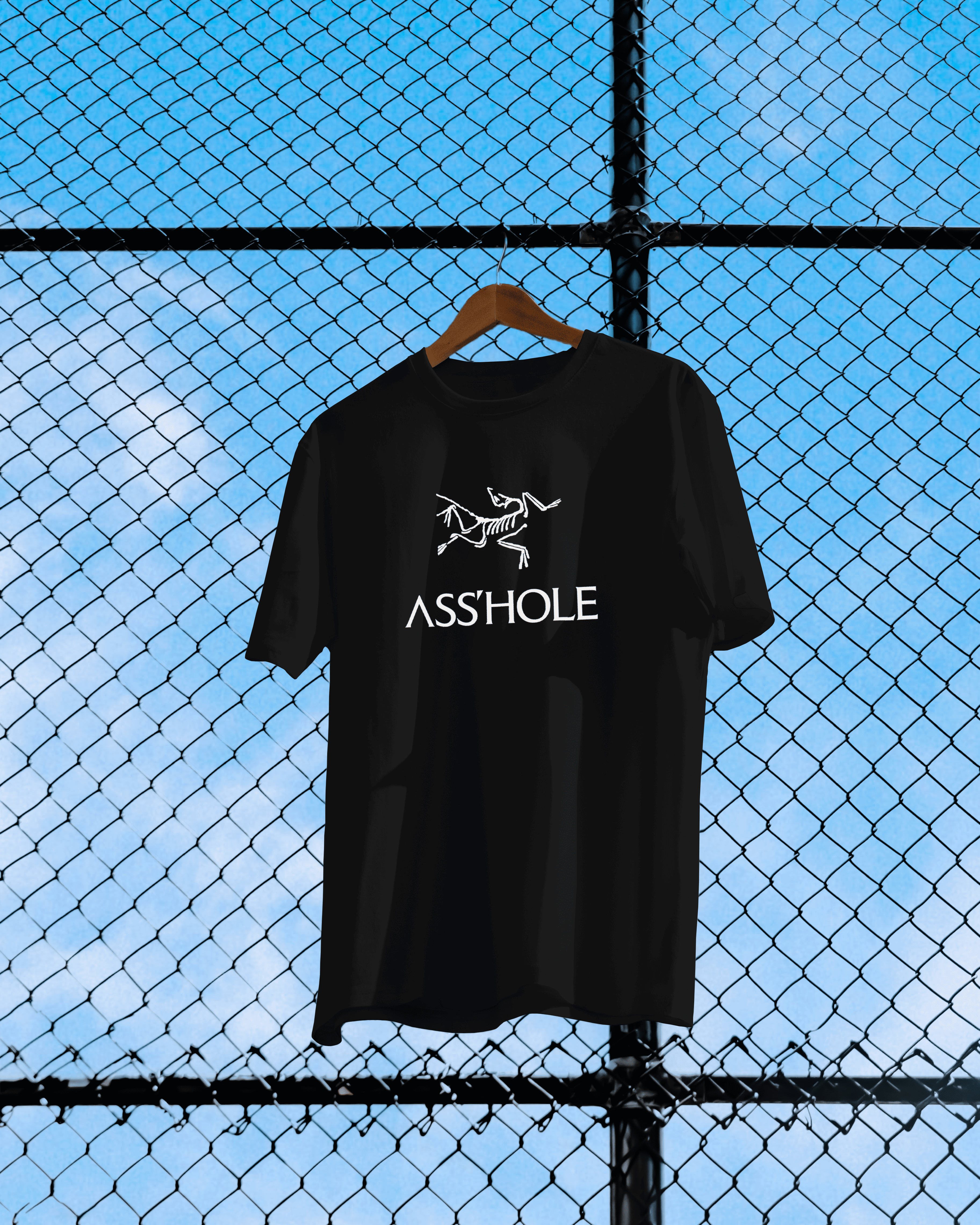 A**hole Tee